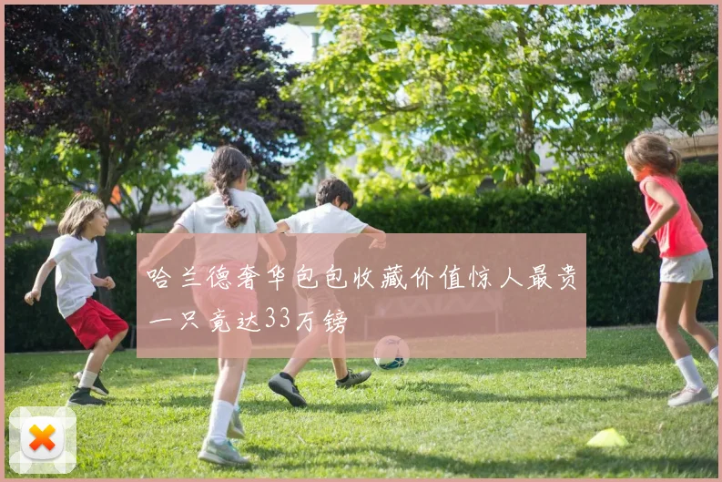 哈兰德奢华包包收藏价值惊人最贵一只竟达33万镑